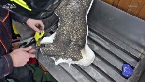 Frauen Skulptur aus Metall