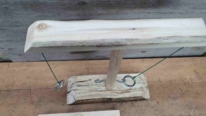 Ring und Hook Toss Spiel