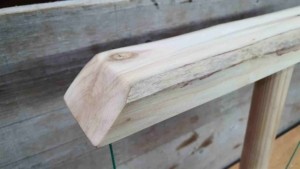 Ring und Hook Toss Spiel