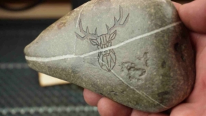 20 Watt Diodenlaser Test Erfahrungen