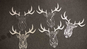 70 watt diodenlaser test erfahrungen